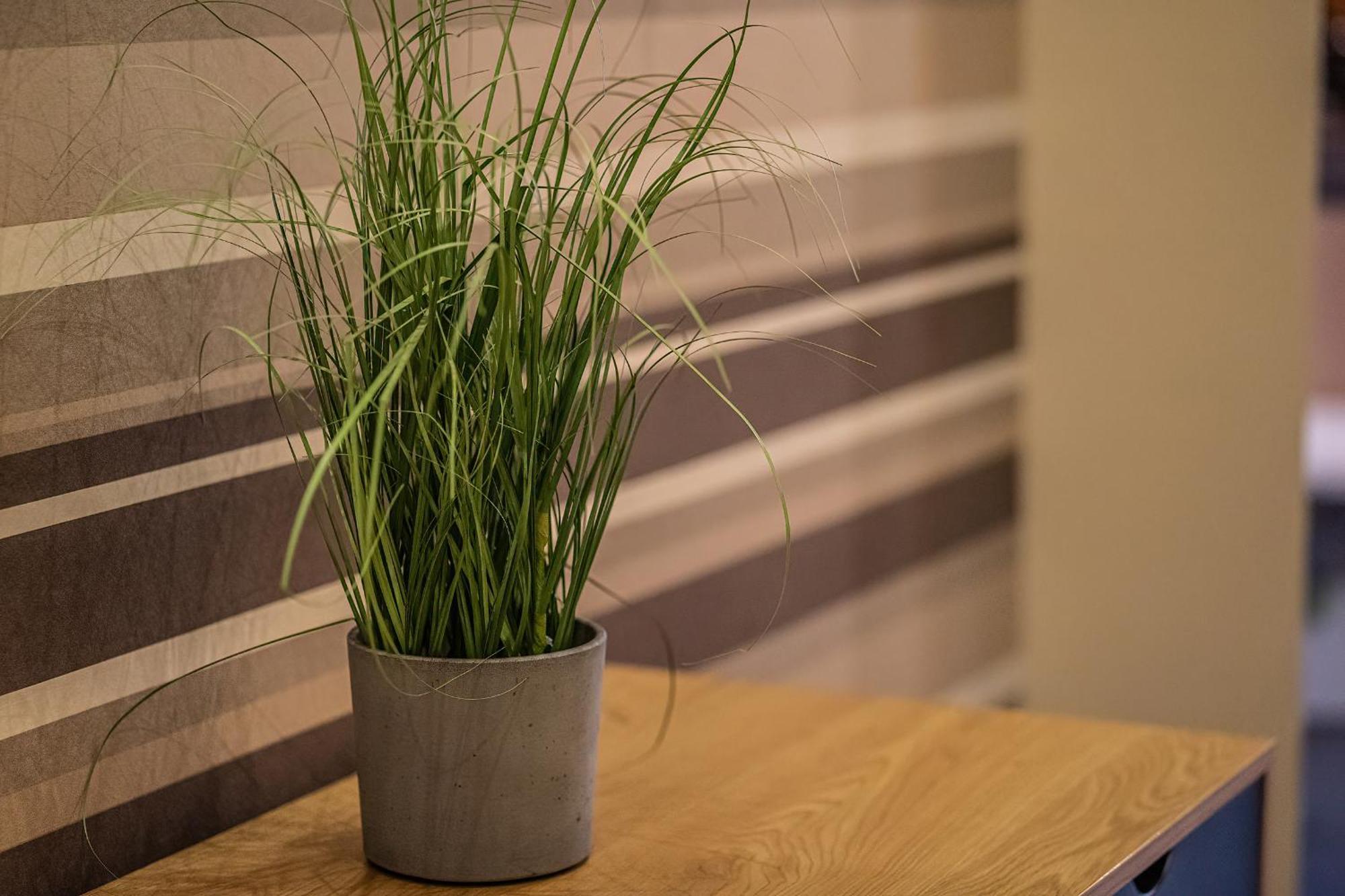 Kelemen Apartment Сегед Екстер'єр фото